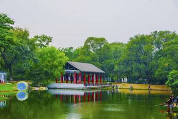 萬泉公園的湖與湖上長亭
