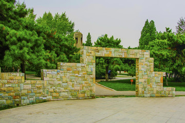 萬泉公園廣場裝飾墻與松樹