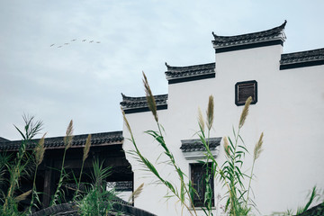 徽派建筑蘆葦