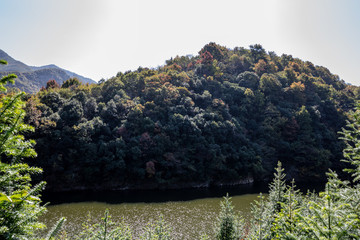 綠水青山
