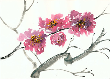 紫色花卉