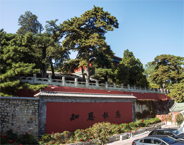 戒臺(tái)寺活動(dòng)松