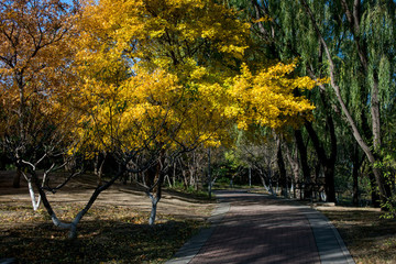 北京奧林匹克森林公園