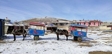 雪地馬車