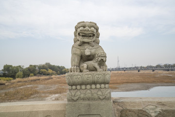 盧溝橋石獅子