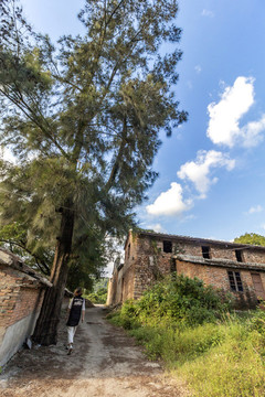 鄉(xiāng)村小路