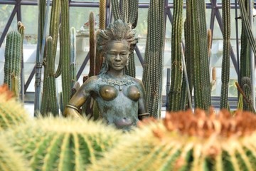 仙人球和女人