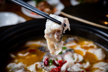 黑魚(yú)煲