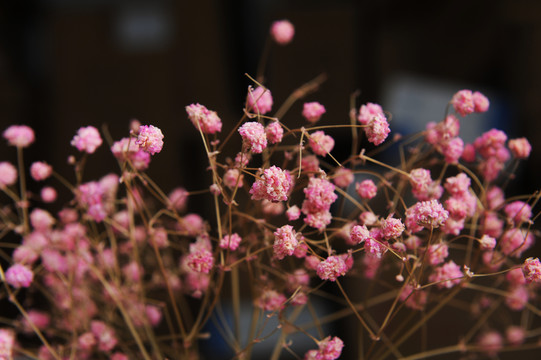 干花