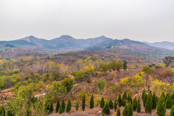 秋景