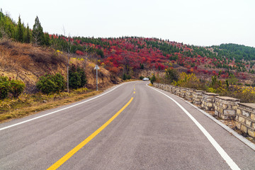 公路