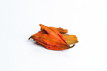 百合花茶
