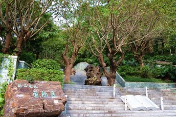 化石