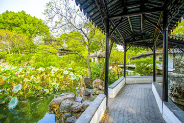 蘇州拙政園園林景觀