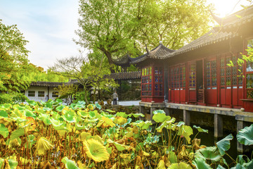 蘇州拙政園園林景觀