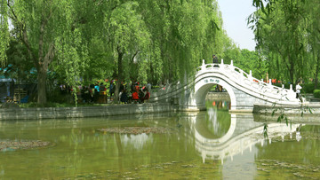 公園