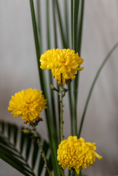 插花禪意