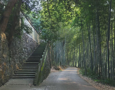 天童寺