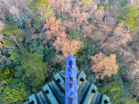 靈谷寺