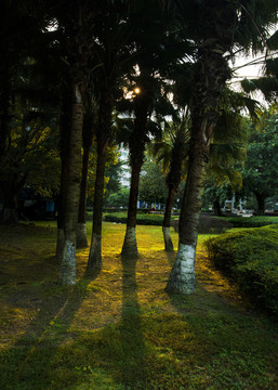 公園一景