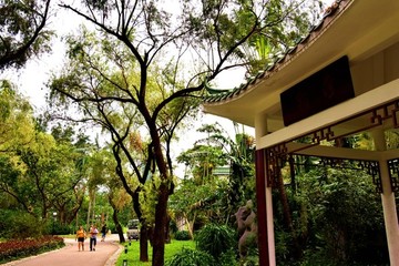 公園