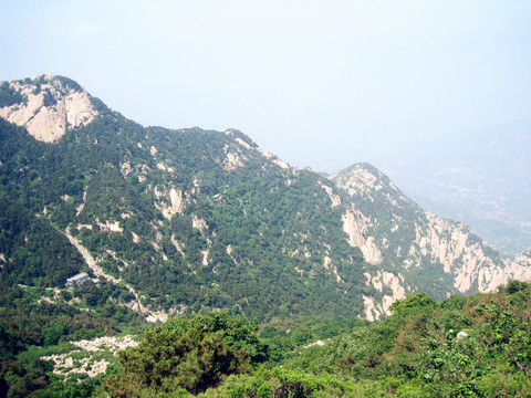 泰山