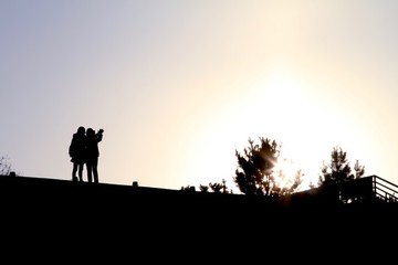 夕陽美女小樹
