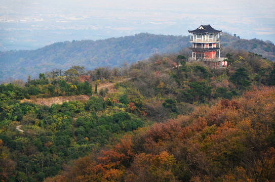 山