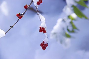 寒冬雪景