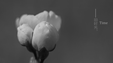 舊時(shí)光