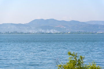 滇池濕地