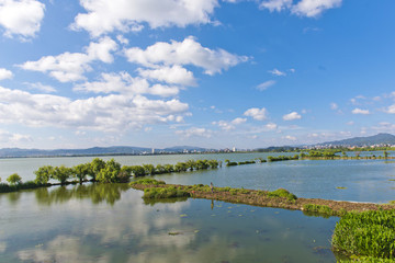滇池濕地