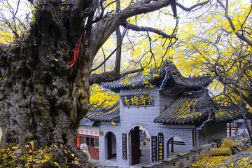 山中古寺
