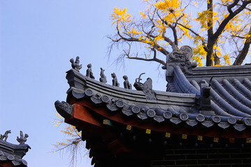 屋脊獸
