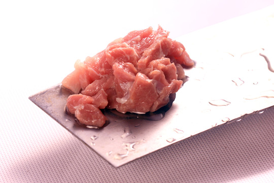 豬肉餡
