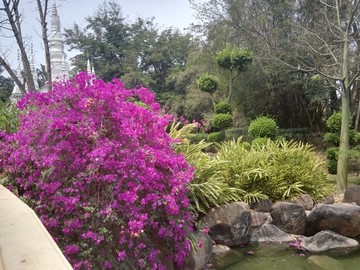 小花