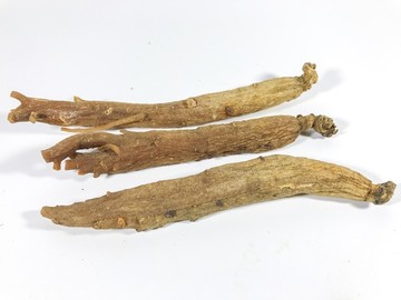 紅參高麗參