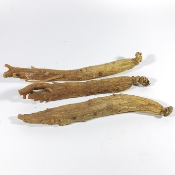 紅參高麗參