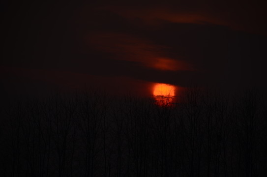 夕陽