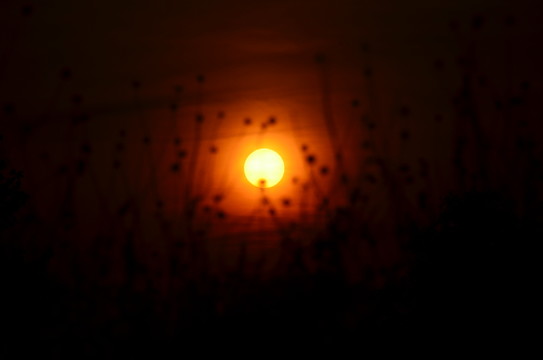 夕陽(yáng)