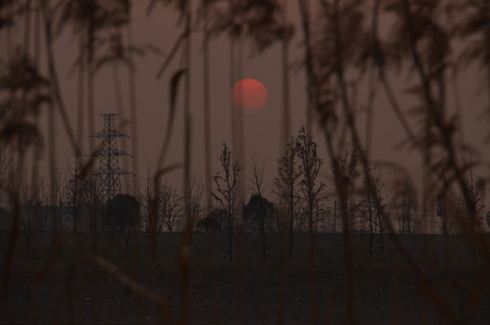 夕陽