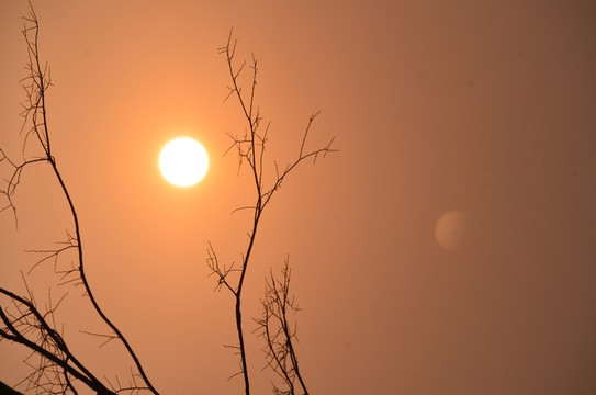 夕陽