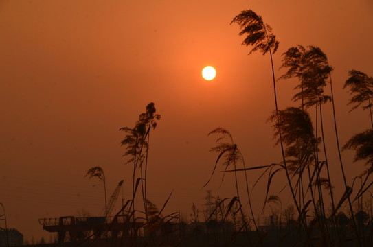 夕陽