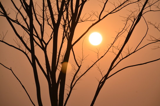 夕陽(yáng)