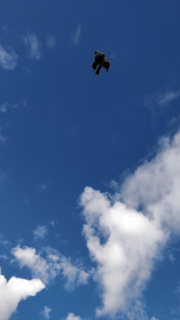 天空中飛翔的玩偶羊