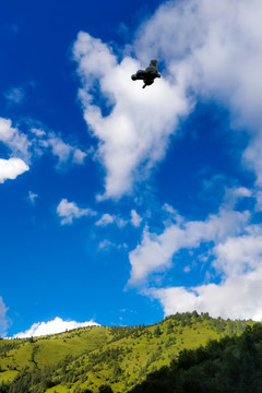 天空中飛翔的玩偶羊