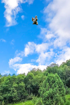 天空中飛翔的玩偶羊