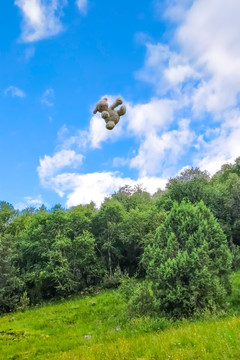 天空中飛翔的玩偶羊