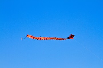 風(fēng)箏藍(lán)天