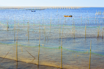 紫菜養(yǎng)殖海域